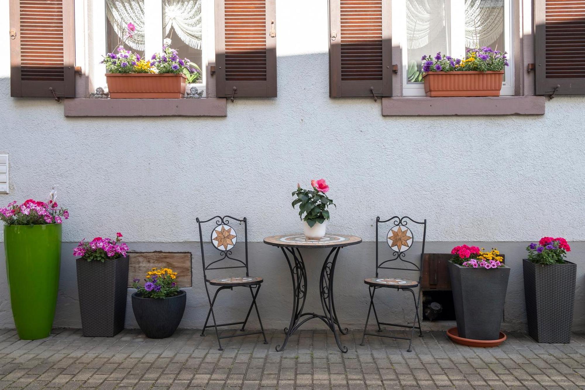 Ferienwohnung Fliegerhorst Endingen am Kaiserstuhl Extérieur photo
